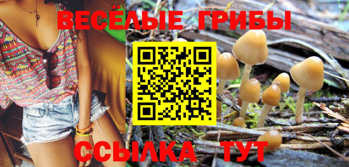 Галлюциногенные грибы ЛСД Гусиноозёрск